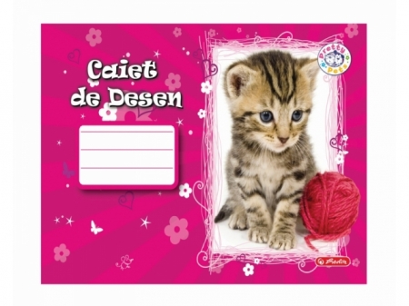 CAIET DESEN 24F PRETTY PETS