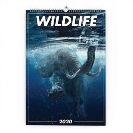 Calendar de perete cu imagini Wildlife 2022