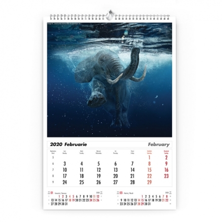 Calendar de perete cu imagini Wildlife 2022