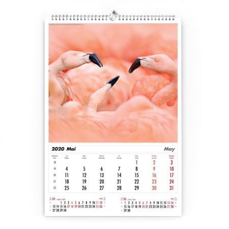 Calendar de perete cu imagini Wildlife 2022