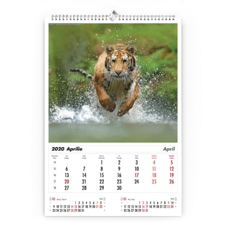 Calendar de perete cu imagini Wildlife 2022