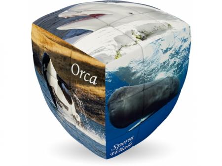 V-cube, 3 randuri, colturi rotunjite, Whales