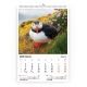 Calendar de perete cu imagini Wildlife 2022