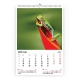 Calendar de perete cu imagini Wildlife 2022