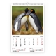 Calendar de perete cu imagini Wildlife 2022